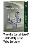 Download the Consolidated® Safety Relief Brochure